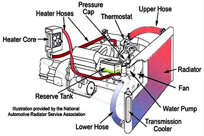 Car Radiator Diagram Transmission Cooler